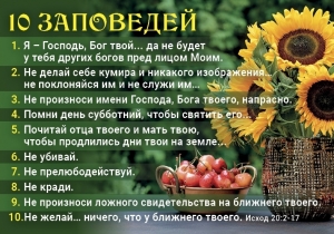 Календарь 2021 карманный "10 заповедей" ― КнигаВам