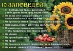 Календарь 2021 карманный "10 заповедей"