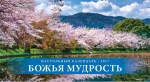 Календарь 2017 настольный "Божья мудрость" РУС