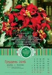 Календар 2016 "Квіти" Великий формат