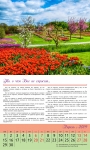 Календарь 2019 Вдохновляющий "Жизнь нежданная". Большой формат