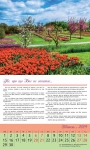 Календар 2019 Надихаючий "Життя несподіване" Великий формат