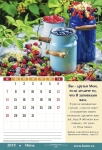 Календарь 2019 "Слова Надежды" Большой формат