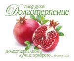 Открытка маленькая "Плод духа: Долготерпение". Притчи 16:32