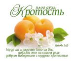 Открытка маленькая "Плод духа: Кротость". Иакова 3:13
