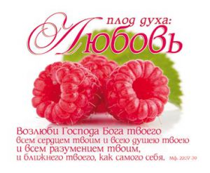 Открытка маленькая "Плод духа: Любовь". Матфея 22:37-39 ― Knigavam