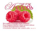 Открытка маленькая "Плод духа: Любовь". Матфея 22:37-39