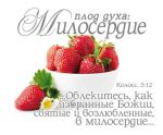 Открытка маленькая "Плод духа: Милосердие". Колоссянам 3:12