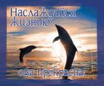 Открытка маленькая "Наслаждайся жизнью - она прекрасна!". Дельфины.